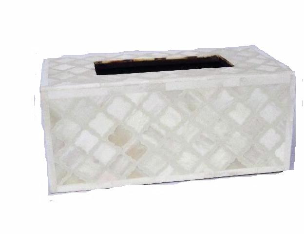 brown and white Bone mosaic tissue box