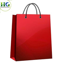 Paper Gift shopping bag