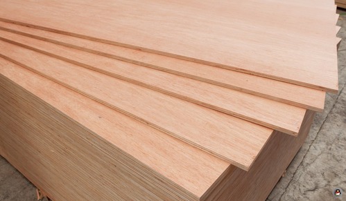 Polished Plain Signature Plus Commercial Plywood, Color : Brown
