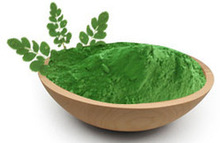 Oleifera powder, Certification : FDA, GMP, HACCP, ISO, NOP, HALAL