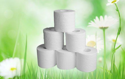 Virgin Wood Pulp Toilet Roll, Brand Name : Synapse