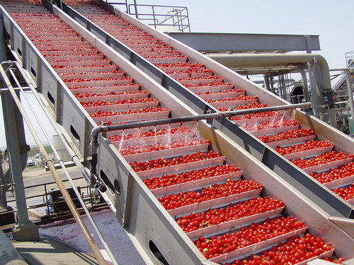 Tomato Paste And Puree Processing Plant, Design : Standard, Customized
