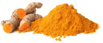 BOTANICAL EXTRACTS : TURMERIC EXTRACT
