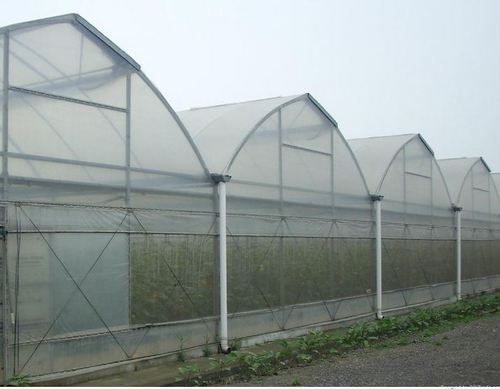 Insect Net Greenhouse