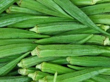 Fresh Bhindi, Color : Green