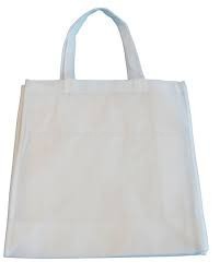 Plastic Pp Shopping Bag