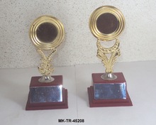 Brass Trophy Awards For School