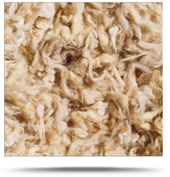 Raw Wool Exporter