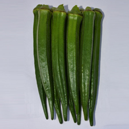 MARUTI OKRA SEEDS -KAJAL F1 HY