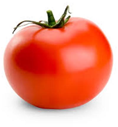 Maruti - Tomato Seeds Mitha F1 Hy