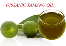 Tamanu original unrefined oil