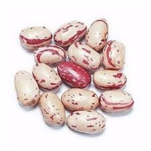 Common Cranberry Beans, Style : Dried