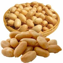 roasted peanut
