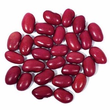 Common Small Red Kidney Bean, Packaging Type : Bulk, PP BAGS