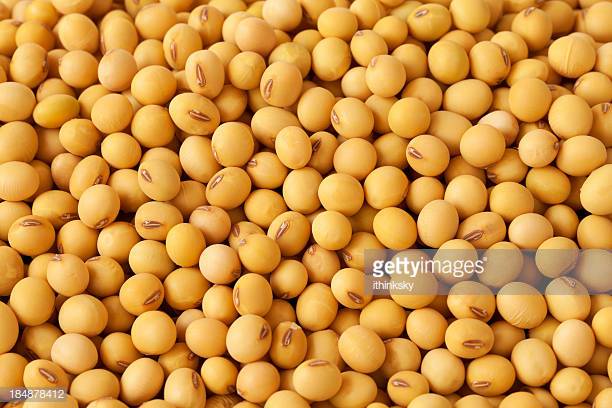 NATURAL soyabean, Packaging Type : SA AGRO BRAND PACKAGING