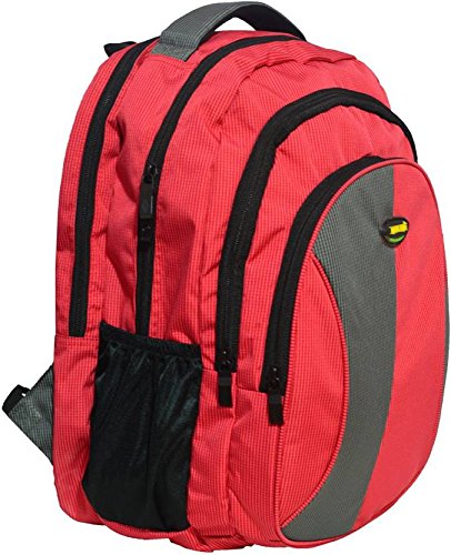 Amazonin Sleek Backpacks Bags Wallets and Luggage