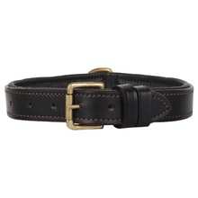 Leather Padded Dog Collar belt