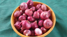 Common red onions