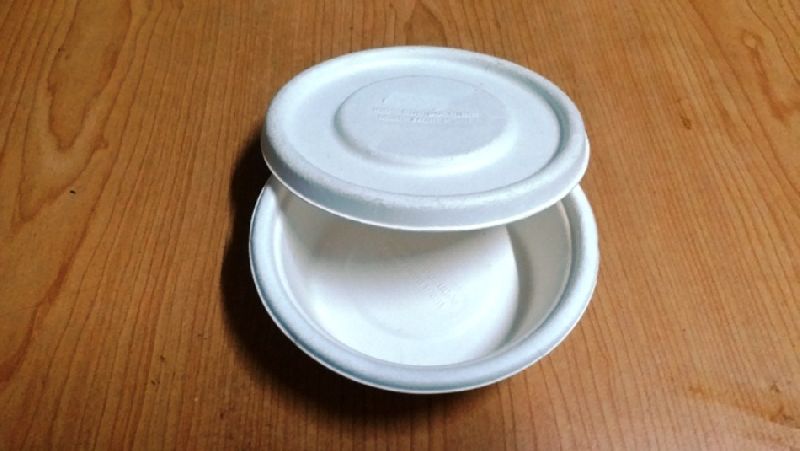 Bagasse biodegradable container, Capacity : 250 Ml