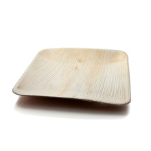 Areca Leaf disposable dinner plates, Feature : Eco-Friendly, Stocked