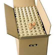 corrugated paper egg box