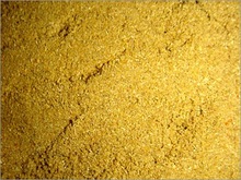 coriander powder