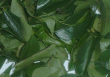 Bulk Raw Dried Curry Leaves, Color : Natural