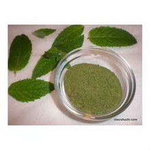 Mint Leaves Dry powder, Grade : Export Quality