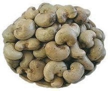 Common raw cashew nuts