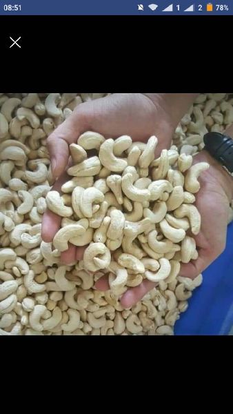 Cashew nuts W240 W320, Certification : FSSAI Certified, ISO9001-2008