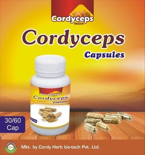 Cordyceps Capsule