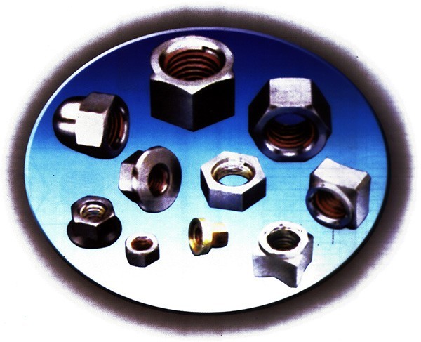 Stainless Steel Self Locking Nuts, Feature : Longer functional life, High functional efficiency, Reasonable rates