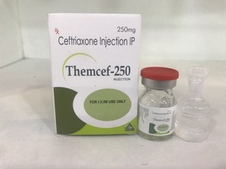 250 Mg Ceftriaxone Injection, Packaging Type : Vial