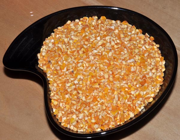 Oval Common Fine Maize Grits, for Human Food, Style : Dried