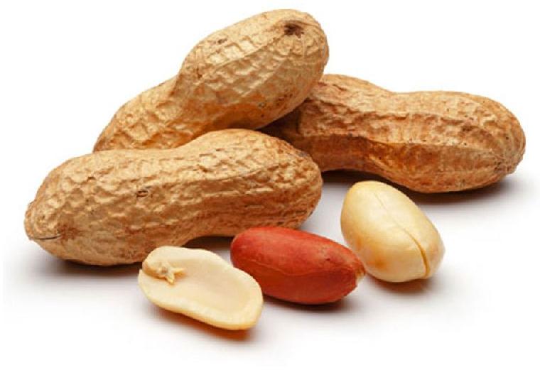 ground nuts