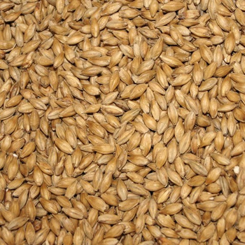  Cattel Feed Barley, Packaging Type : 25kg