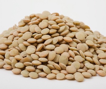 Common organic dried lentils