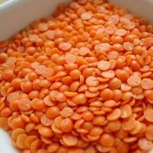 Split Red Lentils