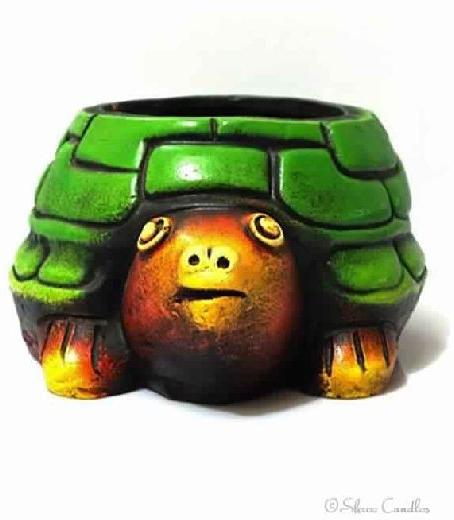 Tortoise Pot