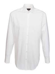 White Cotton Shirts