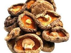 Dry shiitake mushroom, Color : Brown