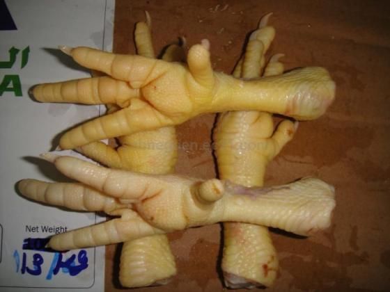 Unprocessed Frozen Chicken Feet