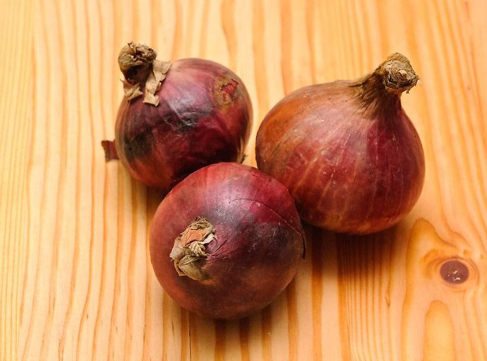 Organic red onion, Feature : Scrumptious taste, Easy to digest