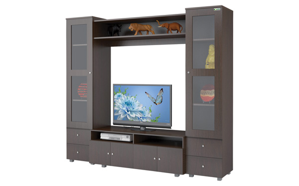 PLUTO TV STAND AND WALL UNITS