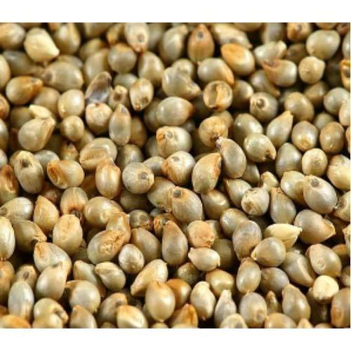 Natural Hybrid Millet Seeds, Shelf Life : 12months