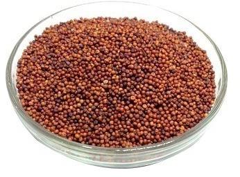Organic Natural Ragi Seeds, for Cattle Feed, Style : Dried