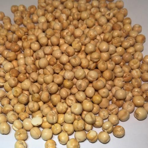 Common Fried Whole Gram, for Food, Feature : Fine Finished, Healthy To Eat