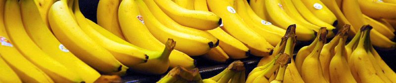 Common Fresh Ripe Banana, for Food, Snacks, Feature : Absolutely Delicious, Healthy Nutritious