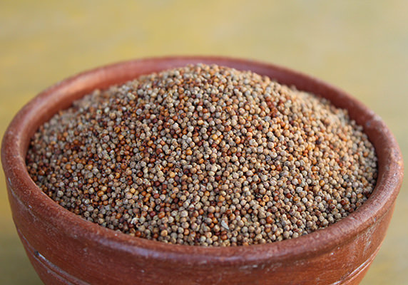 Natural Finger Millet Seed