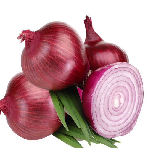 Organic Red Onion, for Human Consumption, Packaging Type : Jute Bags, Net Bags, Plastic Bags